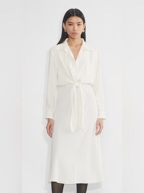 Aritzia Babaton Matte Silk Abbey Dress in Light Birch Women’s Size S